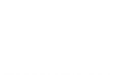 Российские самолёты (МИГ) — партнёр AIMOL